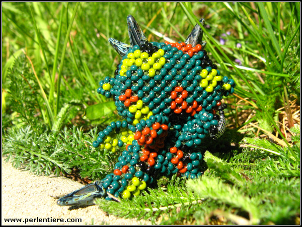 [Bild: drachen12_05.jpg]