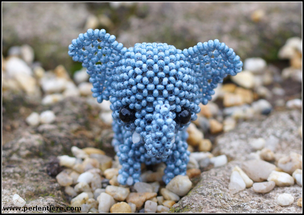 [Bild: elefant03_02.jpg]