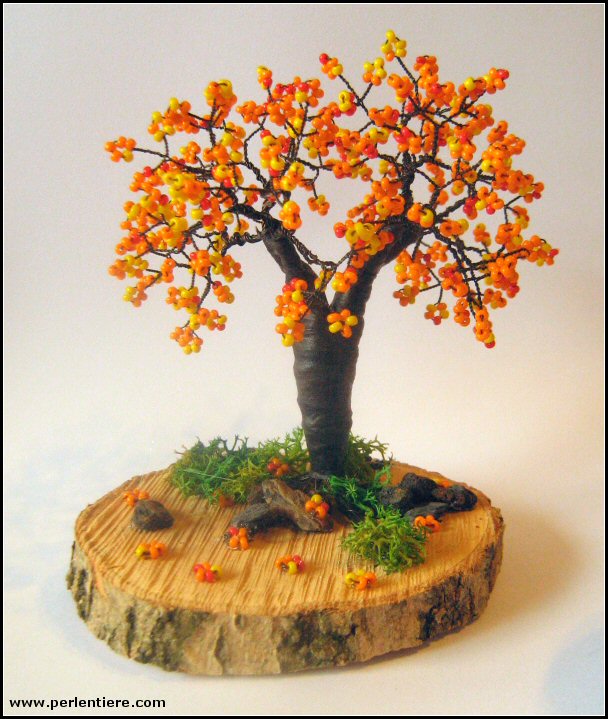 [Bild: apfelbaum01_01.jpg]