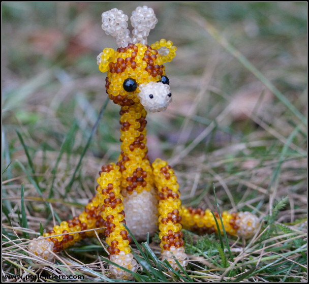 [Bild: giraffe01_03.jpg]