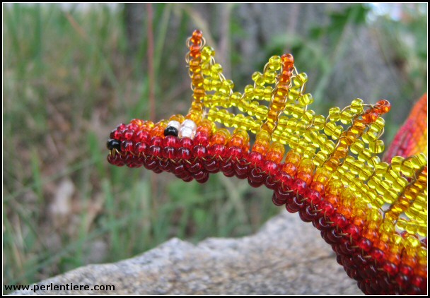 [Bild: drachen27_04.jpg]