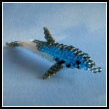 Delphin
