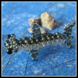 Mini-Hammerhai