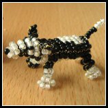 Bordercollie Hund