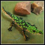 Kleines Krokodil