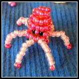kleiner Oktopus
