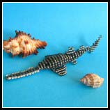 Sgefisch