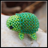 Schildkrte als Big Buddy