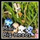 13_minibigheads